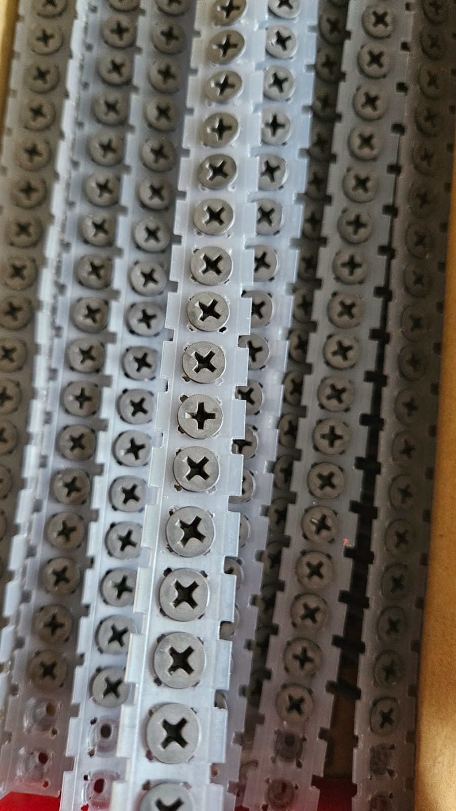 WhatsApp Image 2023-11-25 at 16.19.52