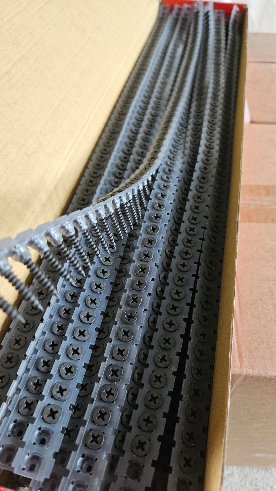 WhatsApp Image 2023-11-25 at 16.19.53