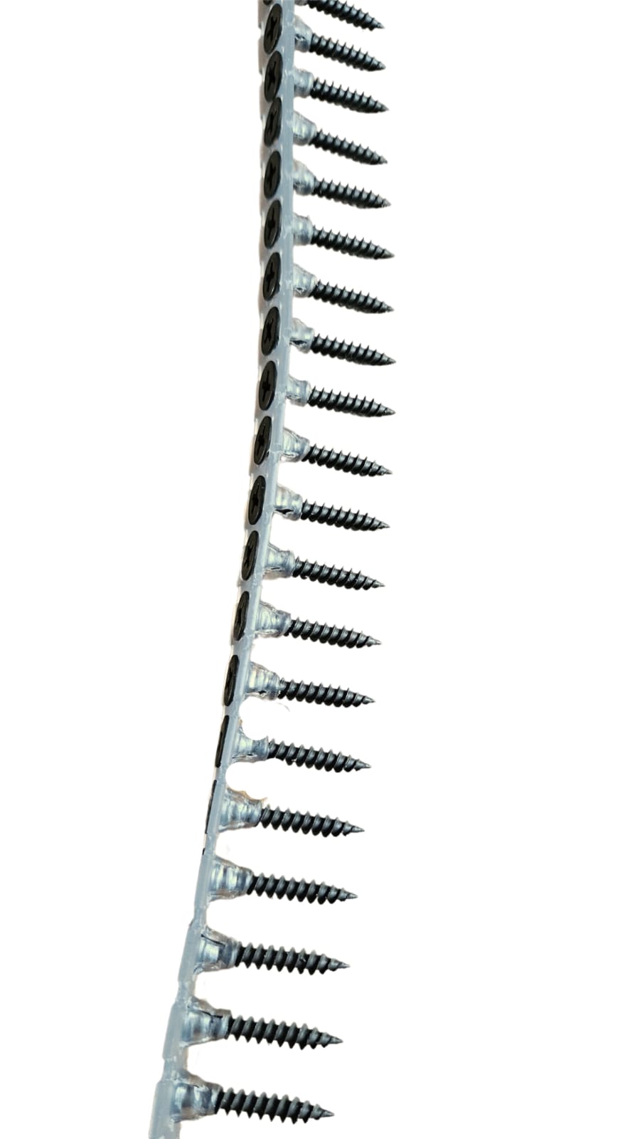 WhatsApp Image 2023-11-25 at 16.27.18