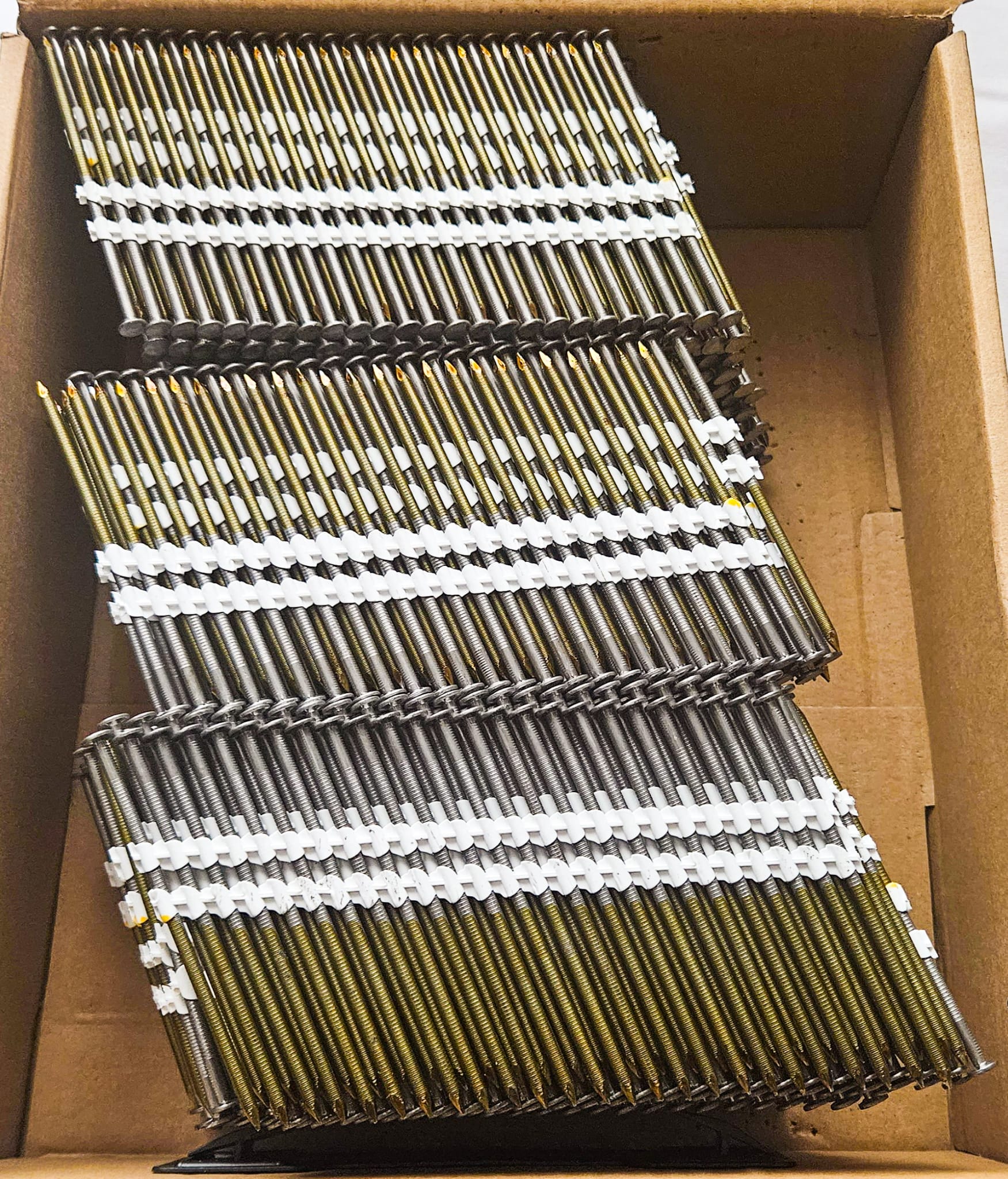 WhatsApp Image 2024-01-24 at 1.44.27 PM (1)