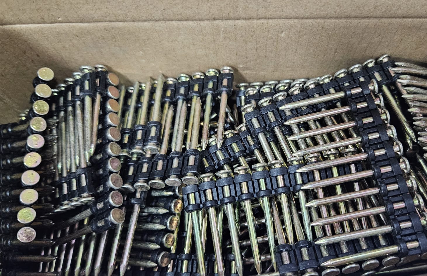 WhatsApp Image 2024-02-10 at 6.45.04 PM