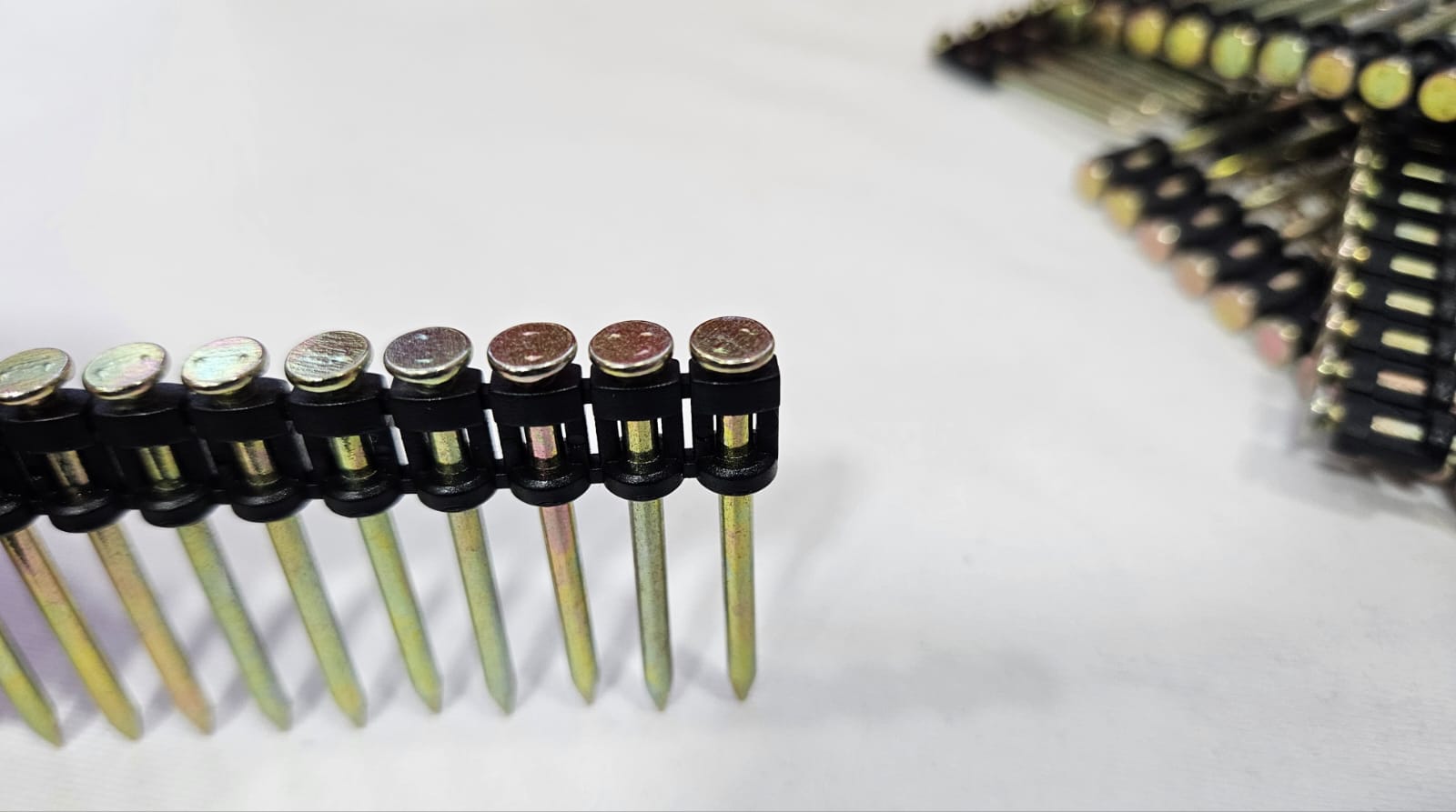 WhatsApp Image 2024-02-10 at 6.45.25 PM