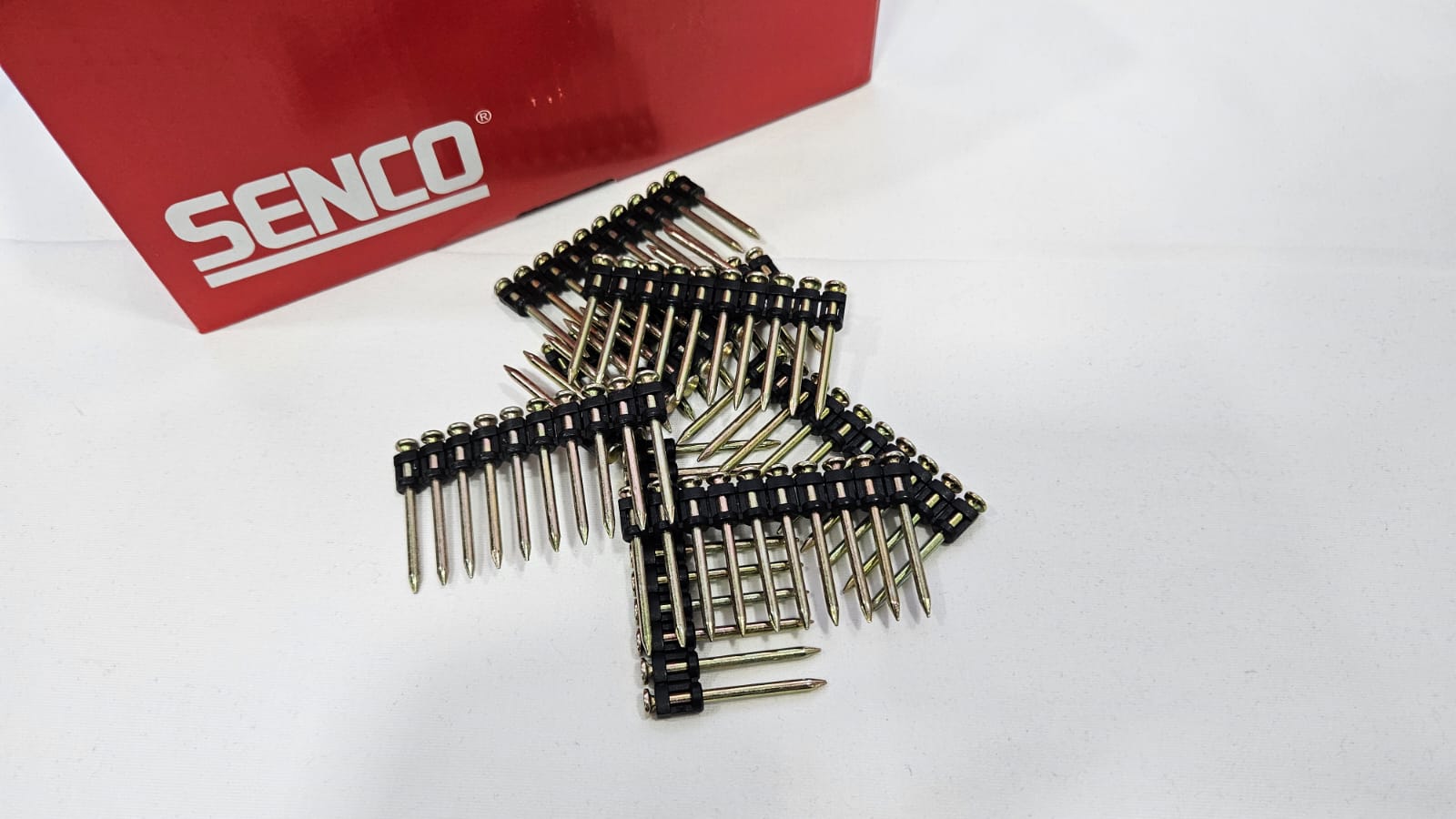 WhatsApp Image 2024-02-10 at 6.47.08 PM